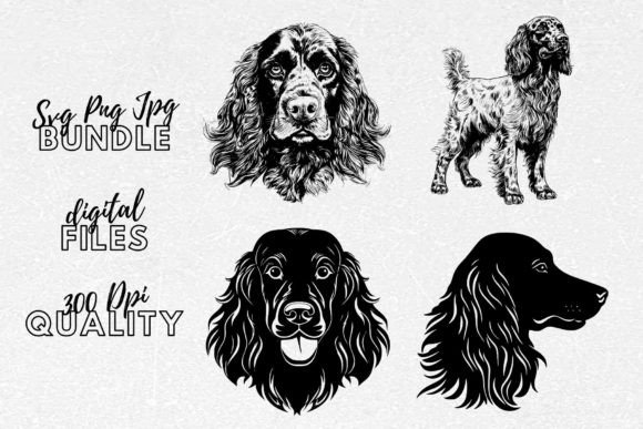 Havanese SVG - Dog Lover Clipart